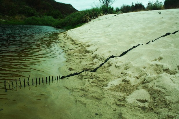 burning but emerging LR