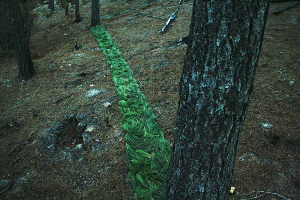 direct connection LR