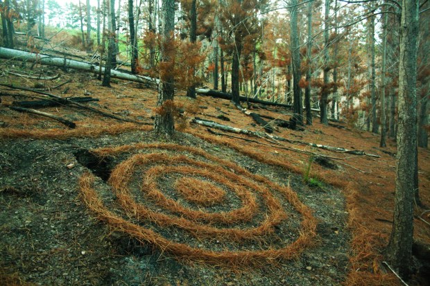 quiet concentric context LR