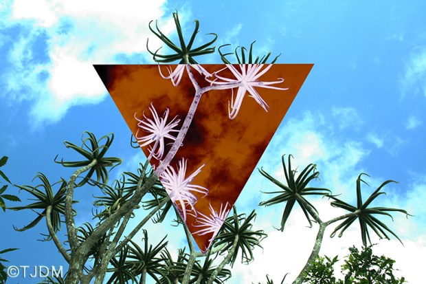 reaching-femininity-fu