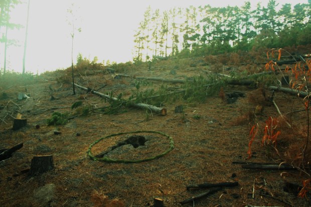 reincarnation drive sunrise LR