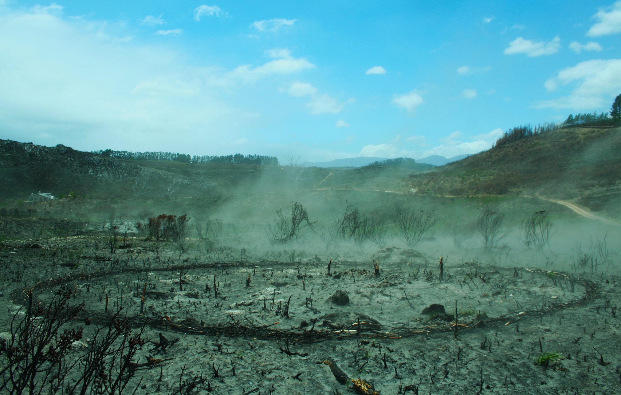 Renewal Prayer Circle dust storm LR