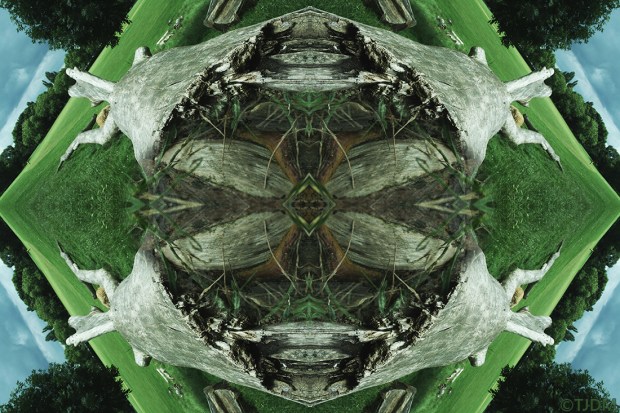 dark-low-re-absorbed-fu