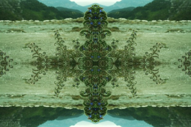 god-totem-monotheist