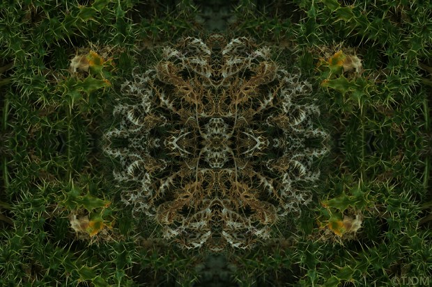 life-and-death-global-fu