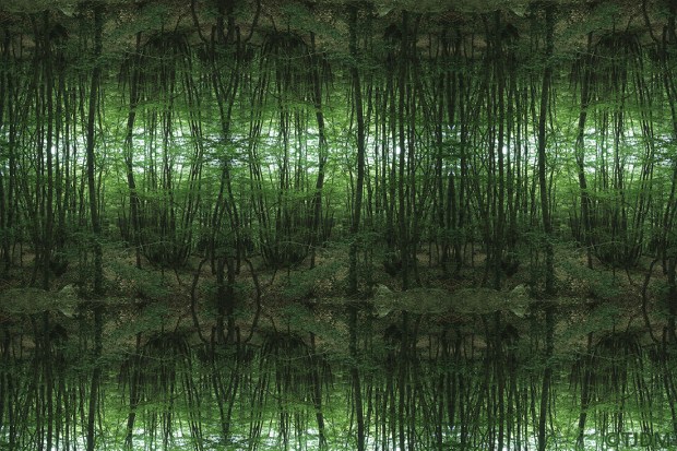 manufactured-galaxy-fu