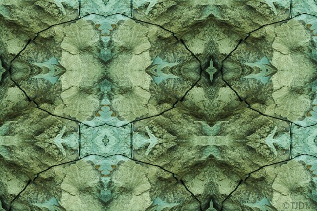 reading-earths-palms-tectonic-galaxy-fu