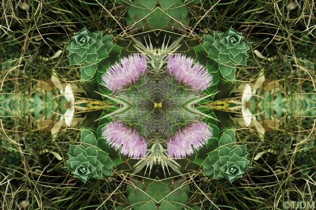 souvenir-of-imagination-fu